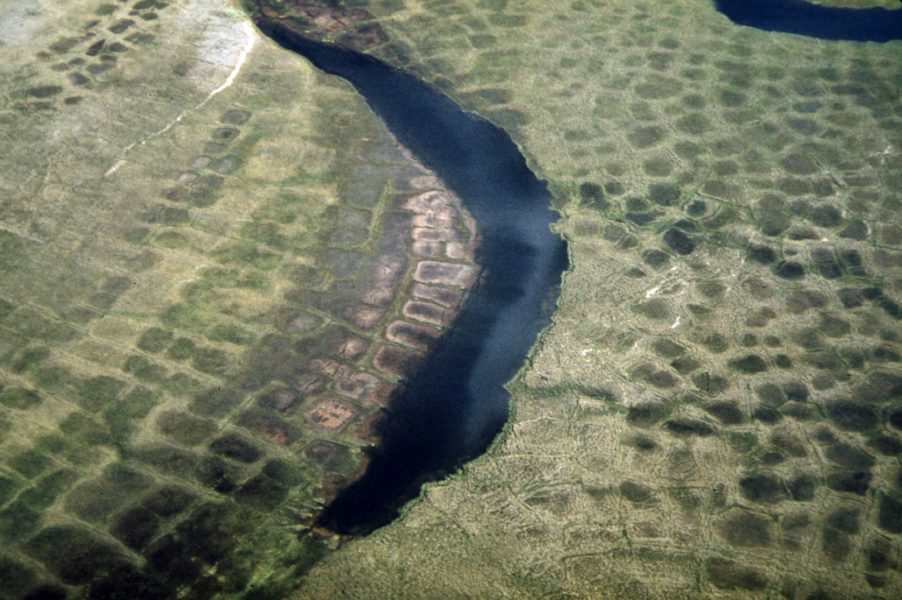 Ice-wedge polygons patterning flat Arctic tundra seen from the air