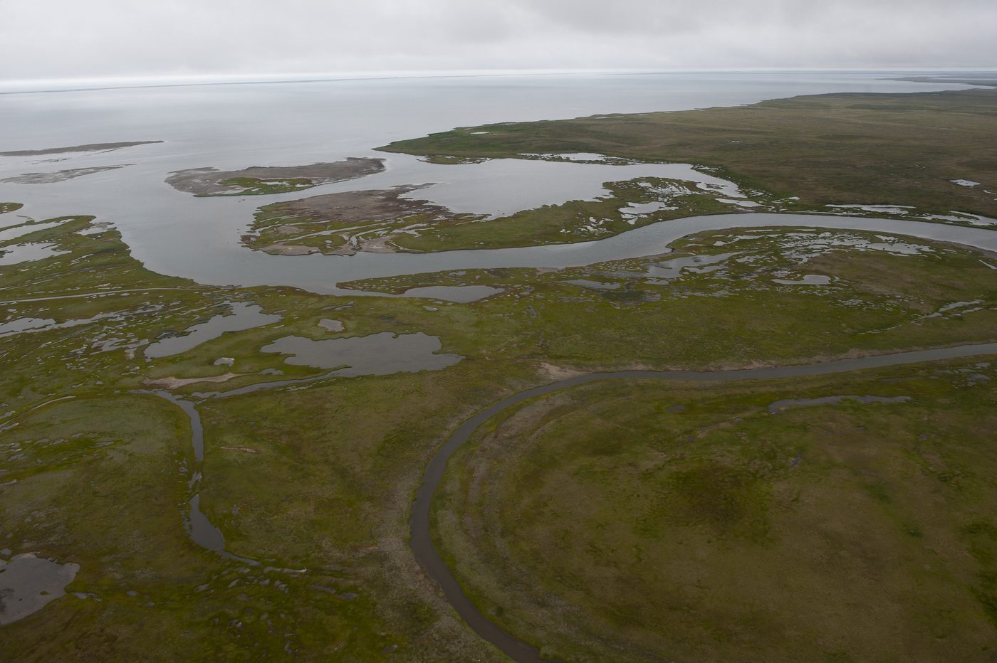 The Bering coast today