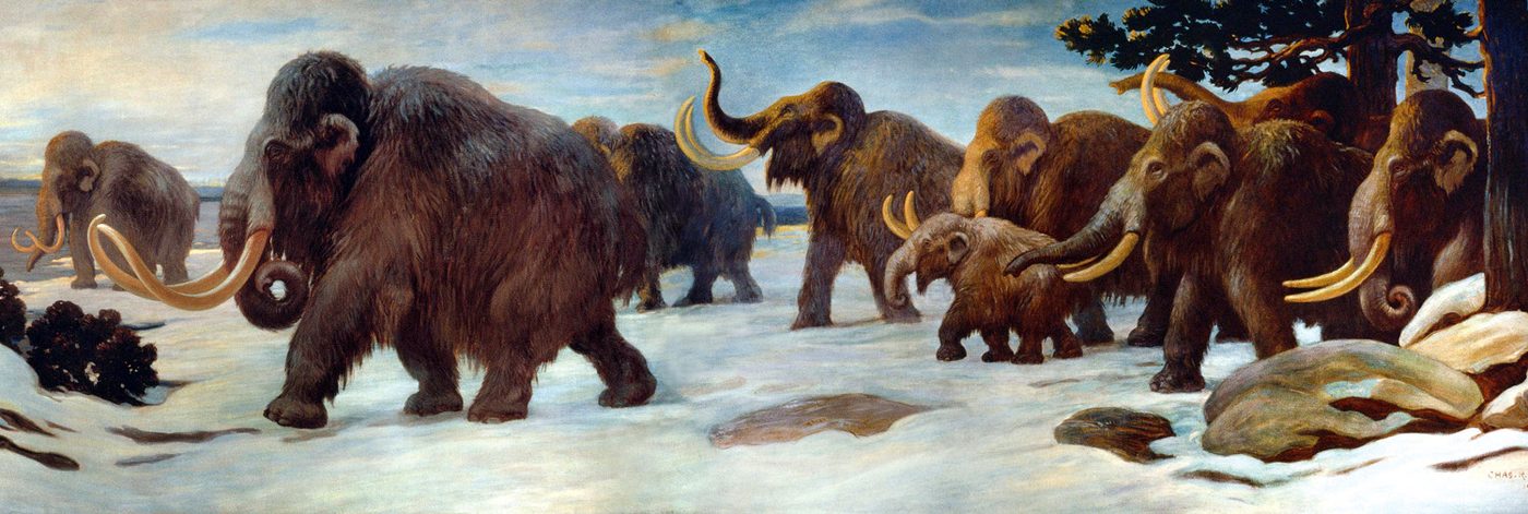 A painting, early 20th century
