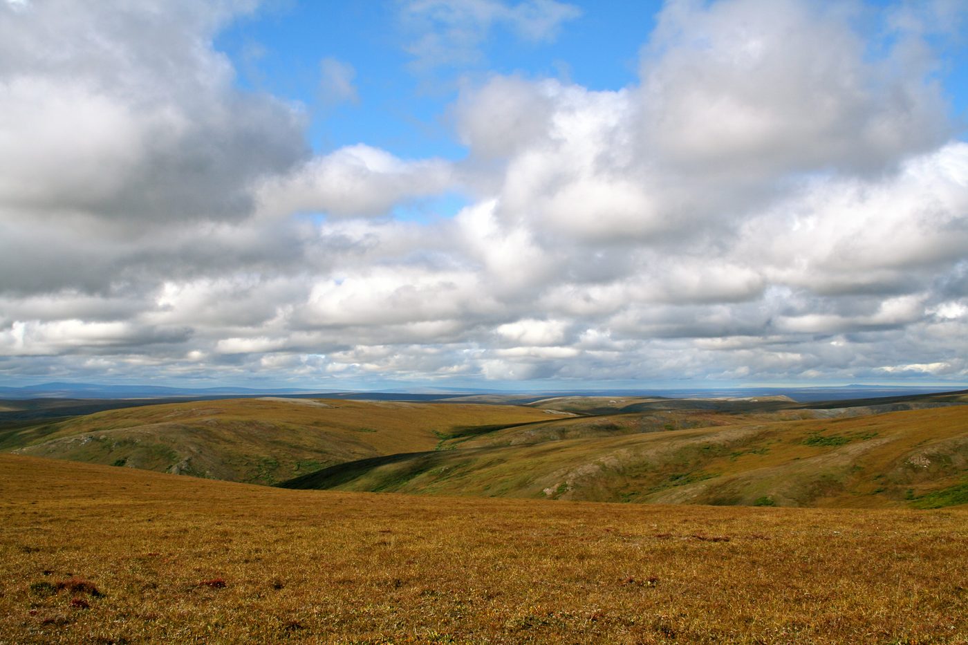 Bering Land Bridge tundra today