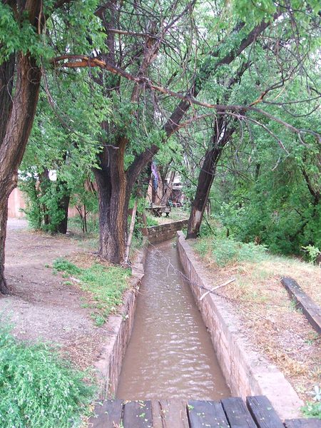 Water running down a narrow hand-dug ditch between earth banks under cottonwood trees