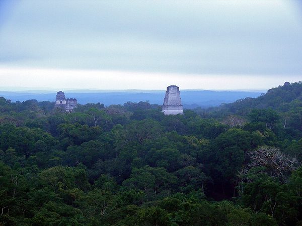 Two stone temple roofs rising above an unbroken rainforest canopy at dawn